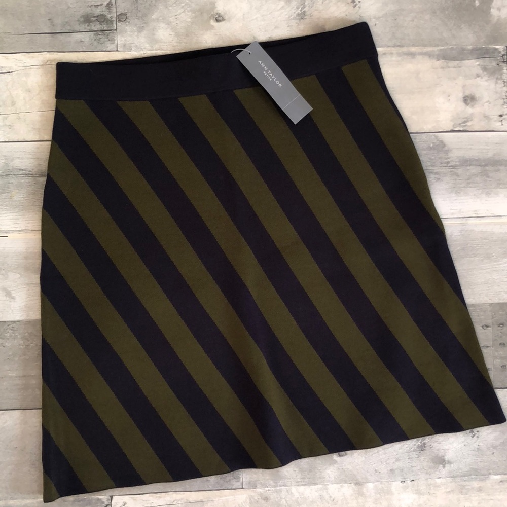 Ann Taylor skirt